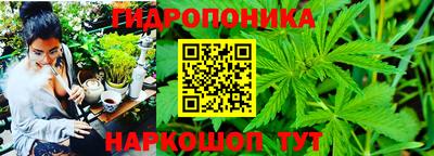 хмурый Свободный